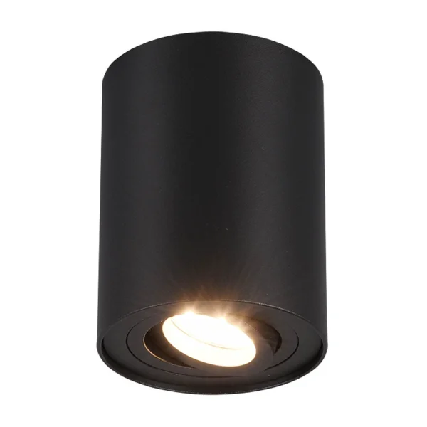 PLAFON DE TETO 1 LUZ OSCILANTE METAL NERO GU10 FORTUNE